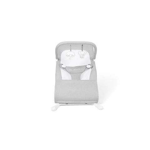Baby Delight Highland Deluxe Portable Bouncer, 819956001913 - ANB Baby