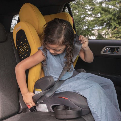 Diono Monterey 4DXT Latch 2-in-1 High Back Booster Car Seat, -- ANB Baby