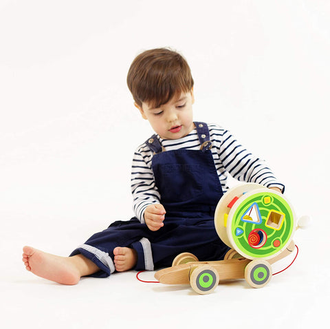 HAPE Walk ALong Snail Push and Pull Toys, -- ANB Baby