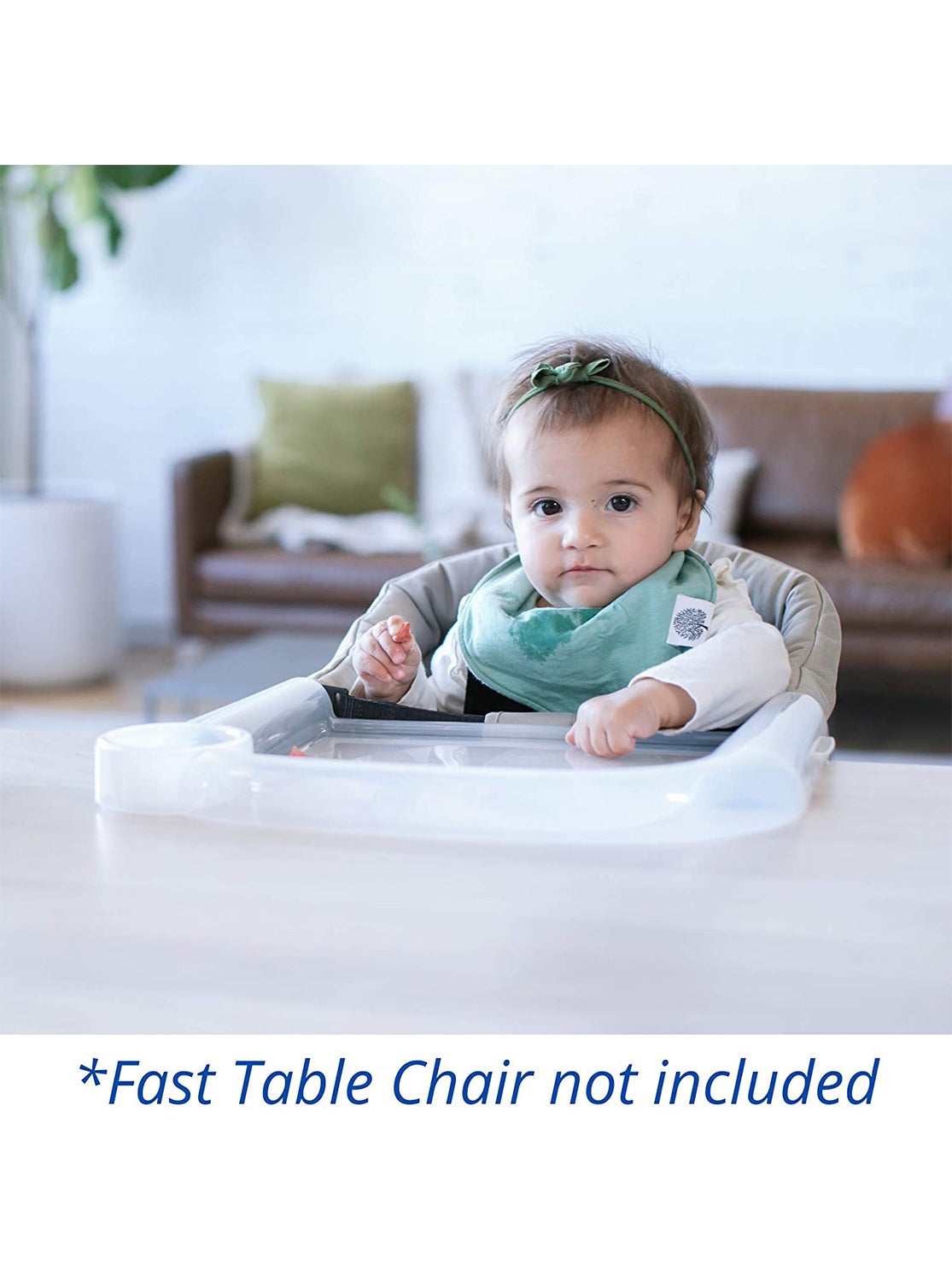 Inglesina Fast Table Chair Dining Tray Plus, Clear, -- ANB Baby