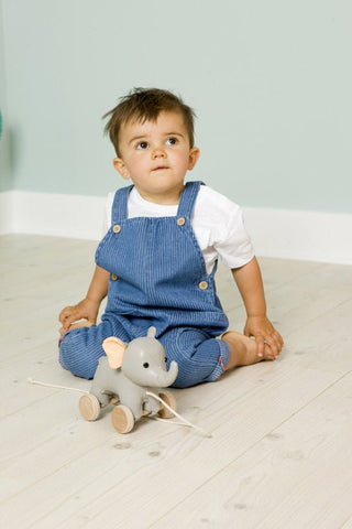Little Big Friends Vincent The Elephant Pull Along, -- ANB Baby