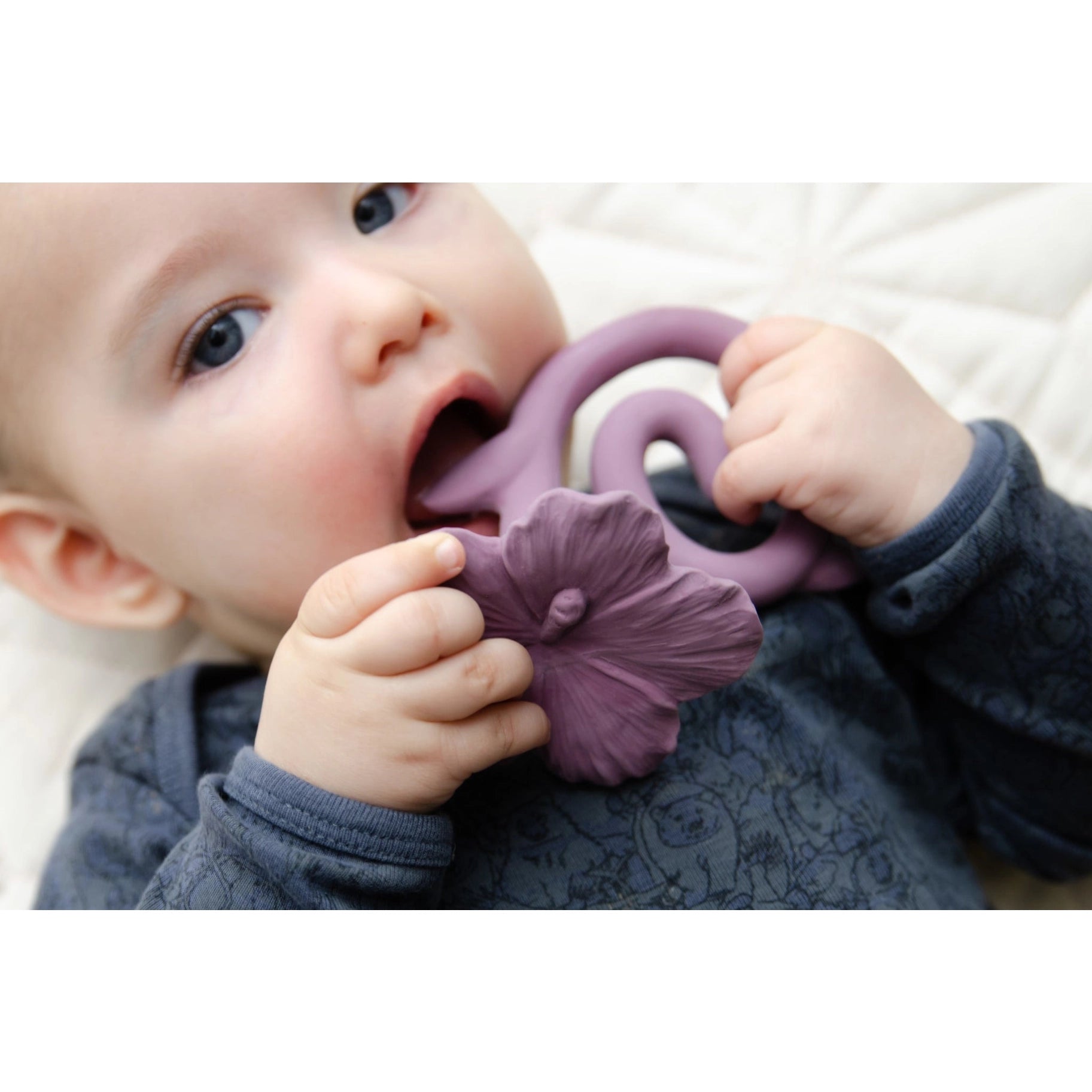 Natruba Hawaii Flower Teether, Purple, -- ANB Baby