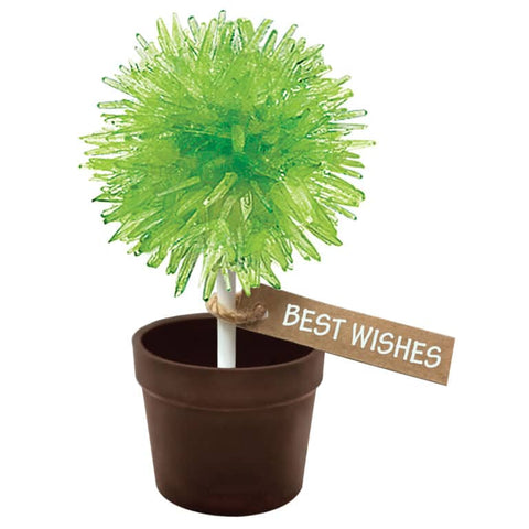 Schylling Crystal Lollipop Tree, -- ANB Baby