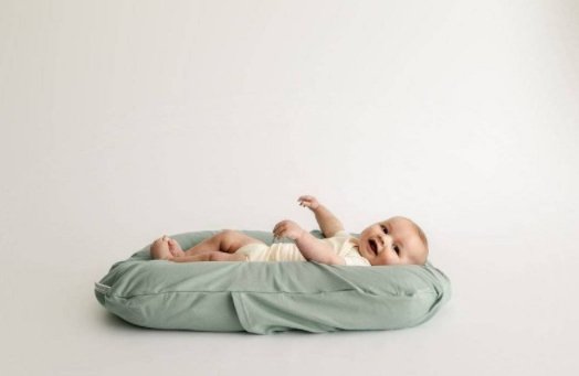 Snuggle Me Organic Cotton Covers, -- ANB Baby