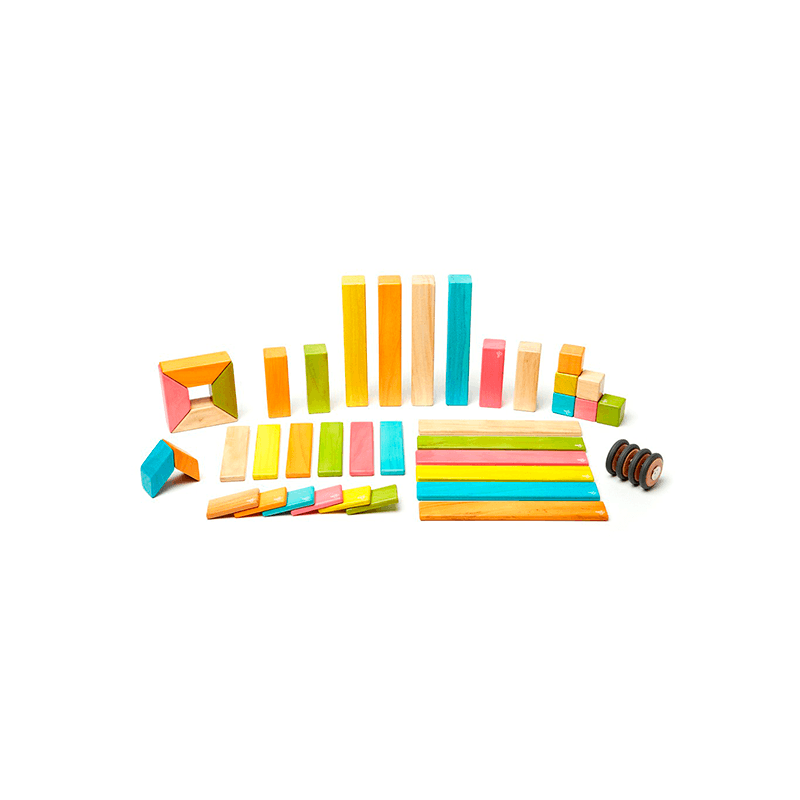 Tegu Magnetic Wooden Block Set, Tints 14-42 Piece Sets, -- ANB Baby